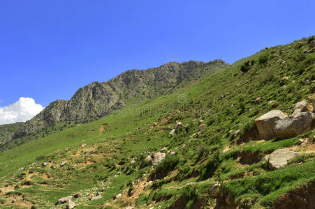 领域 扎哈尔 山谷 岩石 风景 吉尔吉斯斯坦 地区 地标