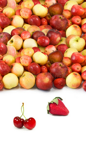 白色背景上的水果和浆果