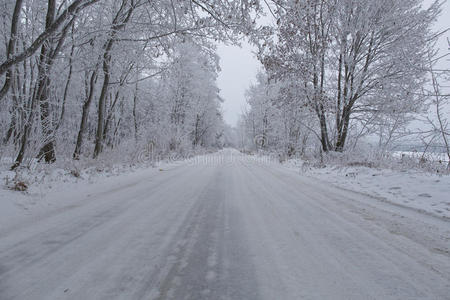 冬季雪路