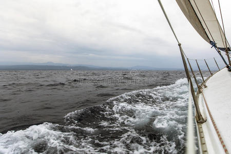 划船 海洋 帆船 运动 航海 自由 地平线 航行 奢侈 海的