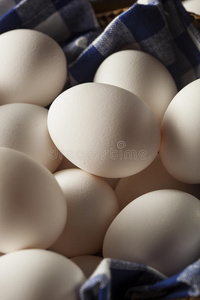 动物 鸡蛋 母鸡 蛋白质 自然 饮食 蛋壳 农场 生的 胆固醇