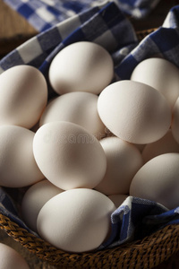 蛋壳 胆固醇 鸡蛋 生产 蛋黄 早餐 农场 家禽 烹饪 母鸡