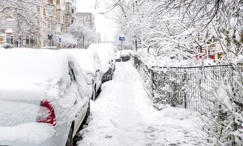 此路不通 困难 降雪 暴风雪 街道 事务处理 汽车 场景