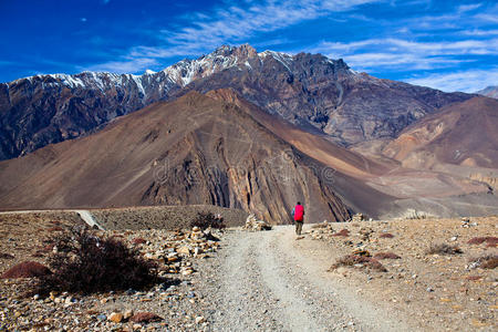 喜马拉雅山 男人 电路 徒步旅行 风景 活动 环境 指导