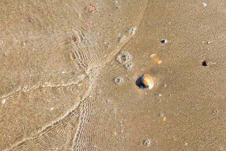 求助 美丽的 海岸 空的 美女 海滩 沙丘 假日 特写镜头