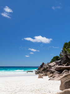 美女 目的地 气候 遥远的 情景 颜色 求助 海湾 梦想