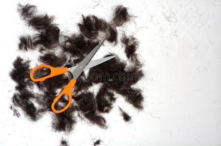 头发 护发 不规则剪裁 剪刀 梳毛 沙夫 发型师 男人 发型