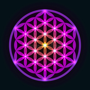 发光的几何生命之花照片