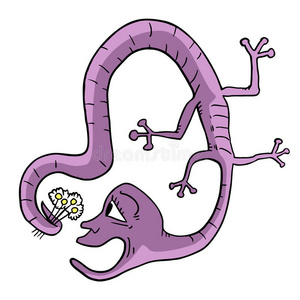 紫色蜥蜴