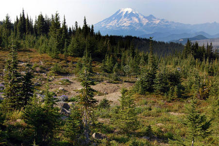 雷尼尔山