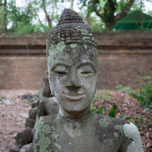 在梧 清迈 旅游泰国寺佛像