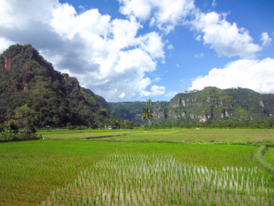 山的风景全景视野