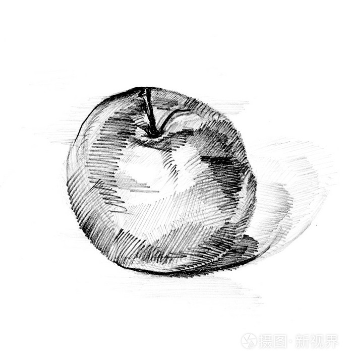 铅笔素描苹果黑色和白色的绘制的苹果单个苹果素描