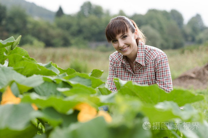 园丁和西葫芦植物的合影