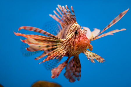 海底世界水族馆