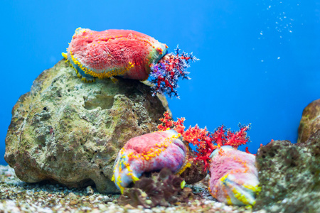 海底世界水族馆图片