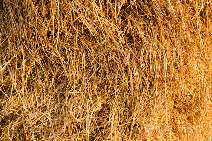 黄色稻草农场纹理背景