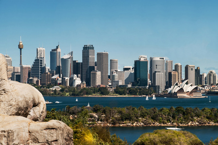 悉尼城市天际线和海港图片