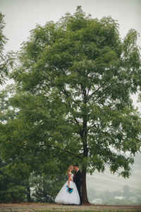 新婚夫妇在树下接吻