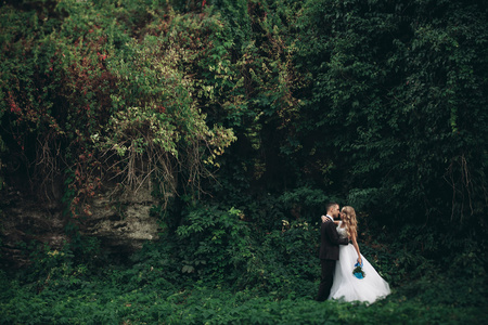 奢华的婚礼情侣拥抱和亲吻就背景华丽植物和洞穴附近的古城堡
