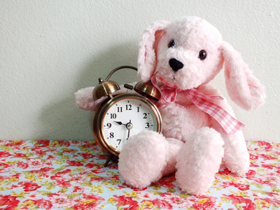 粉红色的狗娃娃与闹钟
