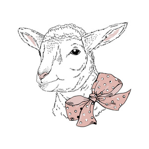 可爱的小羊的肖像