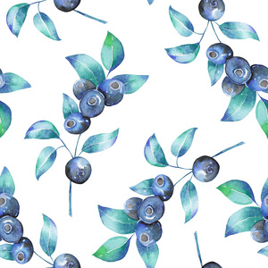 与水彩蓝莓枝条的无缝图案