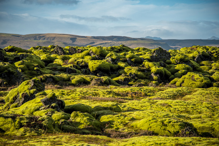 青苔盖上冰岛的火山地质景观