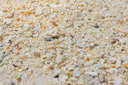 海砂质感的外壳和石片所作