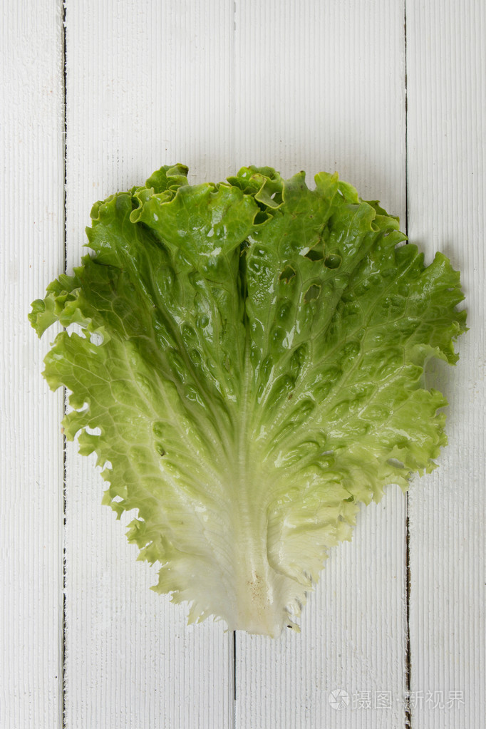 新鲜的莴苣叶上白色孤立