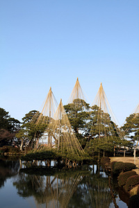 唐崎松 en 日本花园 金泽 石川 日本