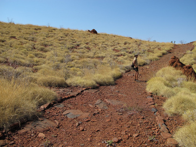 Karijini 国家公园，西澳大利亚