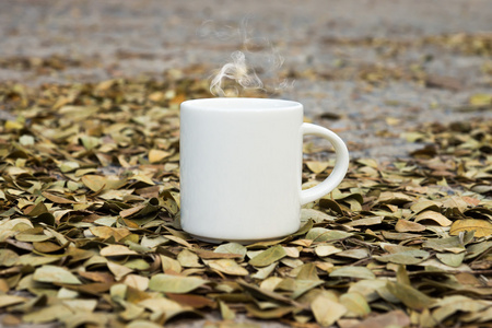 白咖啡杯子在地上用干叶雨树