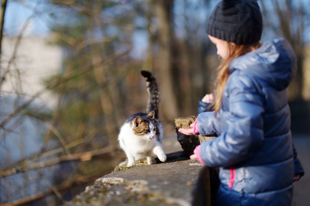 可爱的小女孩遇到一只猫在户外