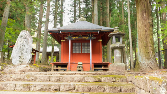 在大森林中在日航木神社图片