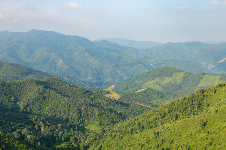 天空 森林和山