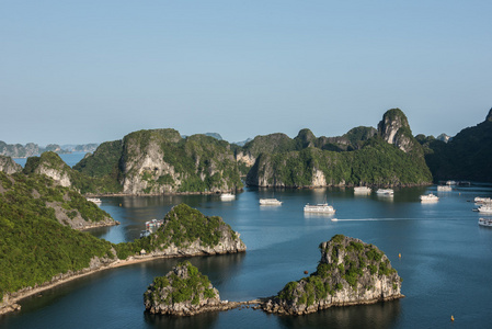 海湾灰岩组