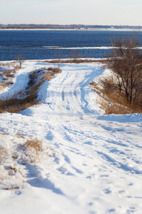 在森林里的雪路