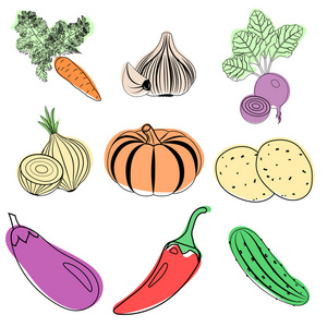 一套五颜六色的蔬菜图标