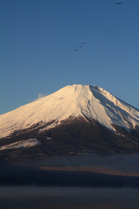 红 红富士，视图从日本山梨县山中湖富士山