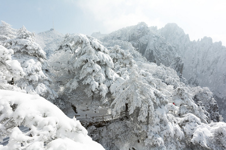 黄山的雪景