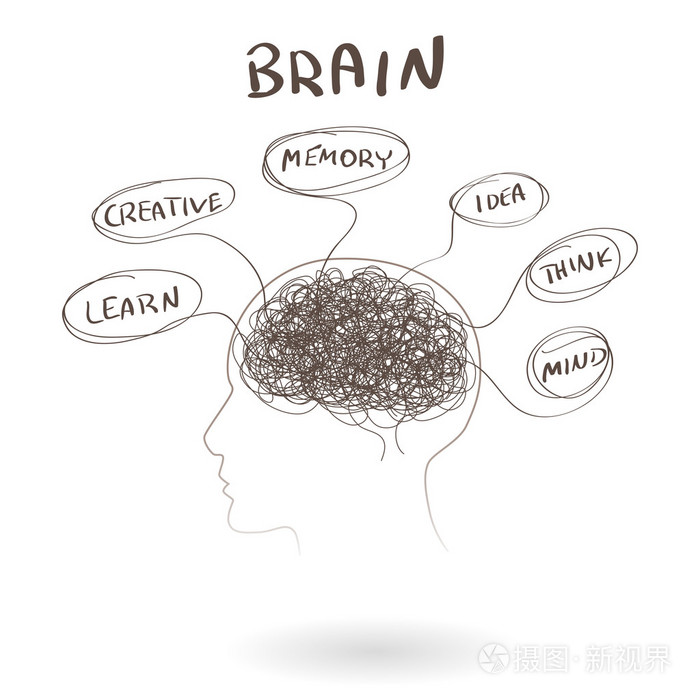大脑,是人类思维的概念.矢量图