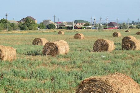 田野里的干草堆。 夏天做干草。