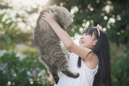 亚洲女孩抱着可爱的波斯猫