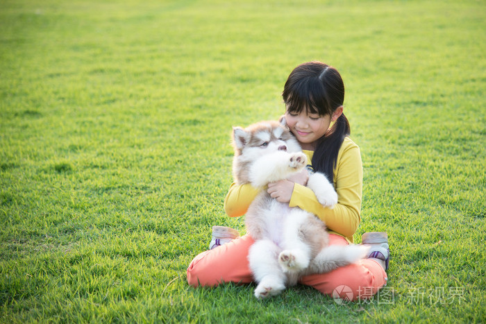 亚洲女孩与西伯利亚哈士奇犬小狗在公园里玩