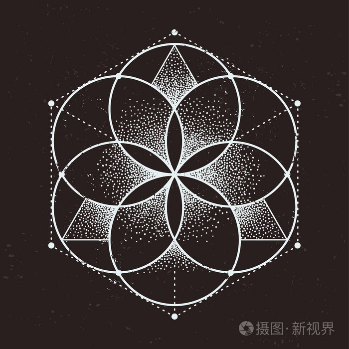 矢量神圣几何学
