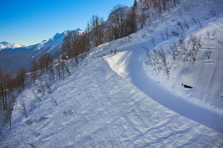 冬山全景