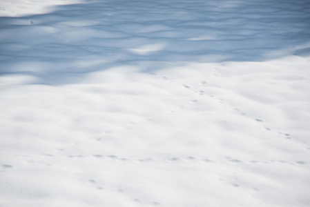 具有复制空间的雪背景纹理