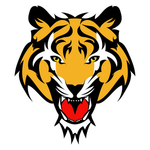 美丽的老虎纹身.作为设计元素上孤立背景矢量虎头照片