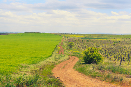 与农村公路景观